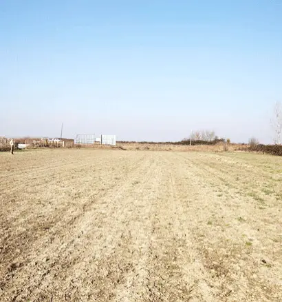 Land In Alexandreia, Greece (10.500 M²)