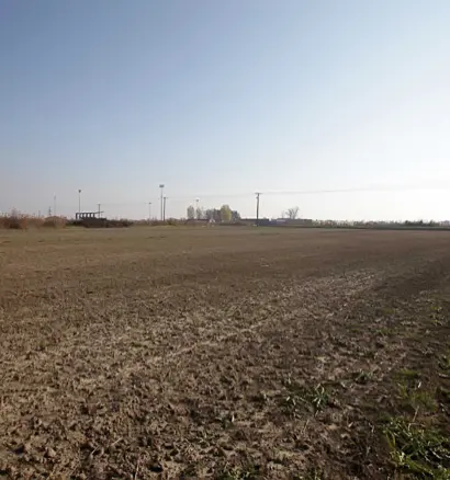 Land In Alexandreia, Greece (10.500 M²)