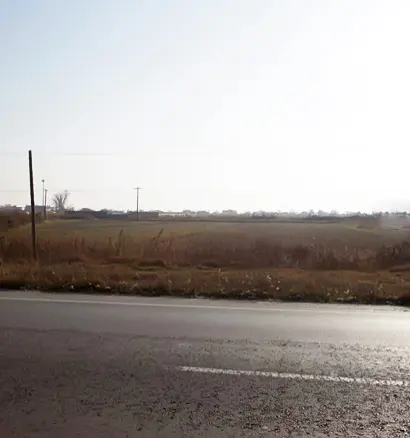 Land In Alexandreia, Greece (10.500 M²)