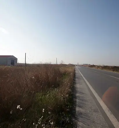 Land In Alexandreia, Greece (10.500 M²)
