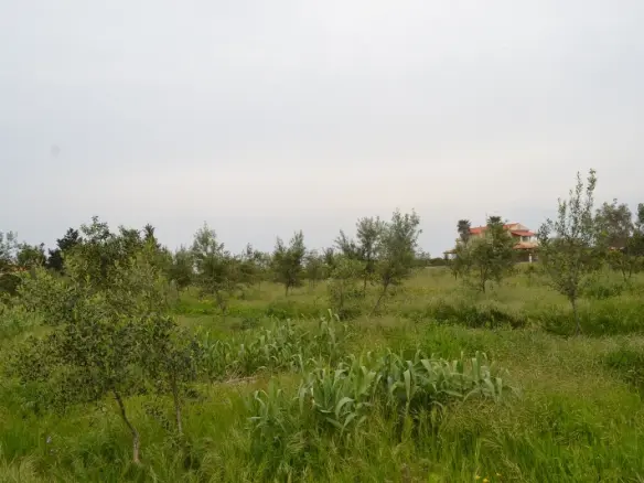 Land In Corfu, Greece