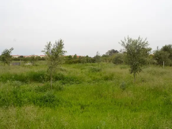 Land In Corfu, Greece