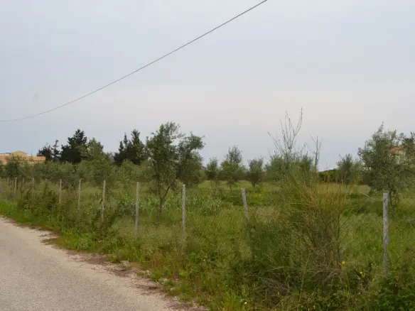 Land In Corfu, Greece
