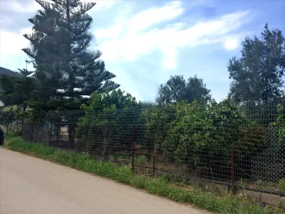 Land In Loutraki-perachora, Greece