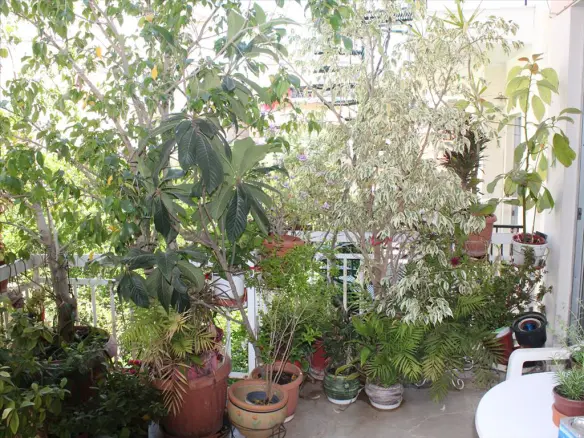 3-bedroom Flat In Perama, Greece (180 M²)