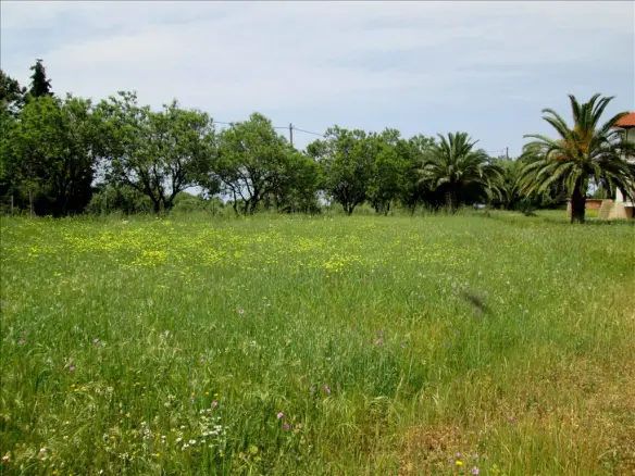 6-bedroom Detached House In Sithonia, Greece (200 M²)