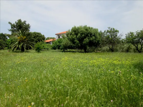 6-bedroom Detached House In Sithonia, Greece (200 M²)