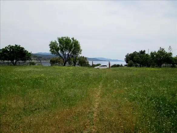 6-bedroom Detached House In Sithonia, Greece (200 M²)