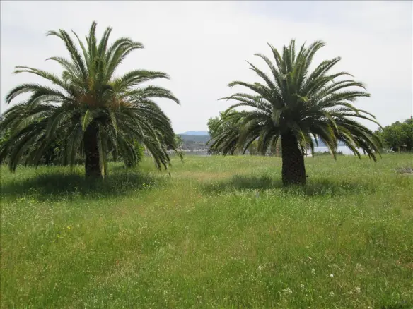 6-bedroom Detached House In Sithonia, Greece (200 M²)