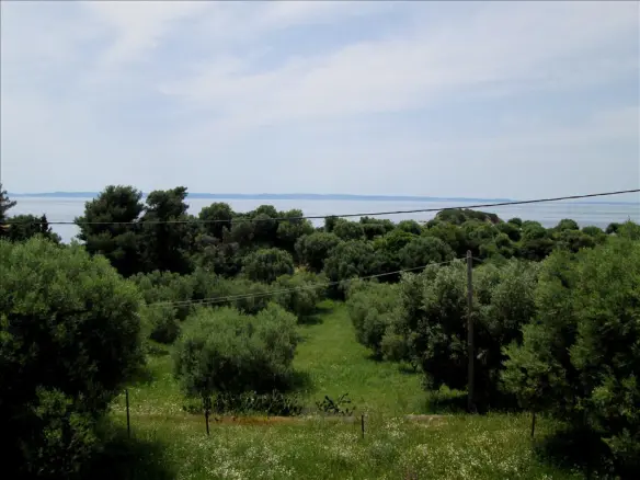 6-bedroom Detached House In Sithonia, Greece (200 M²)