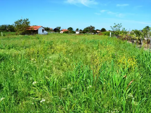 Land In Kassandra, Greece