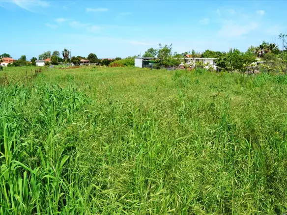 Land In Kassandra, Greece