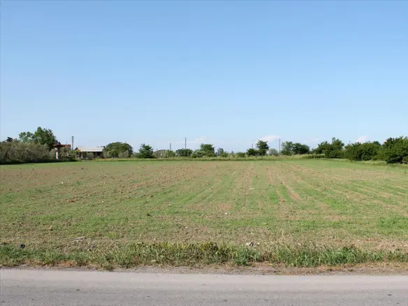 Land In Katerini, Greece