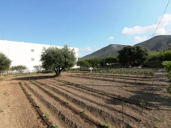 Land In Chersonisos, Greece (1.293 M²)