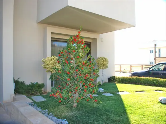 3-bedroom Villa In Pikermi, Greece (550 M²)