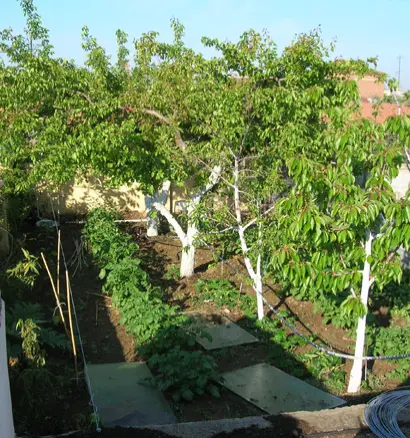 Villa In Tragilos, Greece (400 M²)