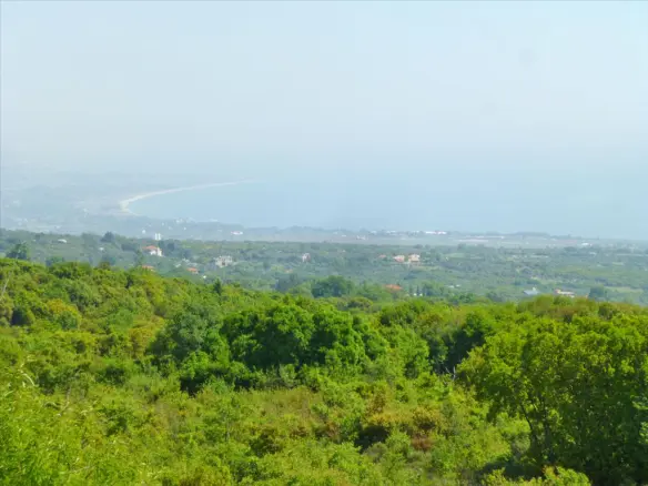 Business In Dion, Greece (500 M²)