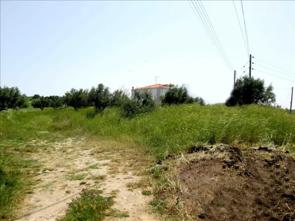 Land In Sithonia, Greece