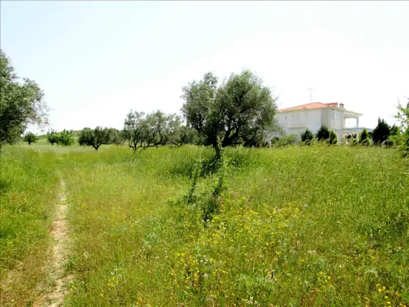 Land In Sithonia, Greece