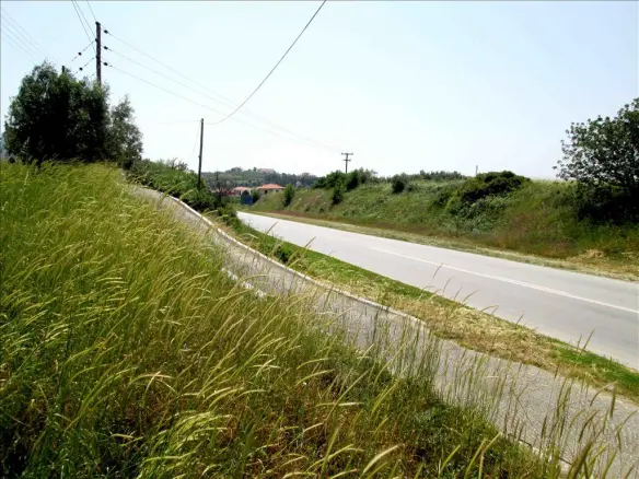 Land In Sithonia, Greece