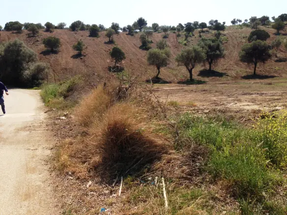 Land In Sithonia, Greece
