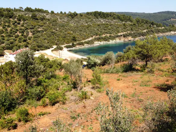 Land In Sithonia, Greece
