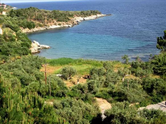 Land In Aristotle, Greece