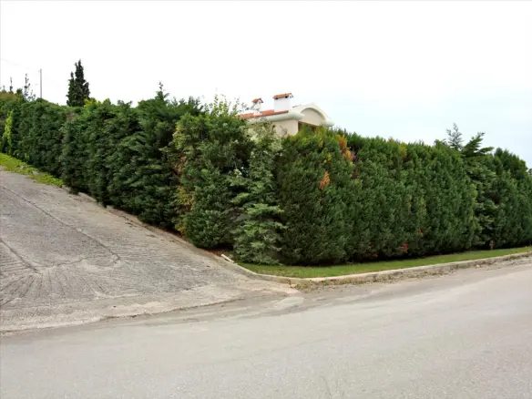 5-bedroom Villa In Malesina, Greece (493 M²)