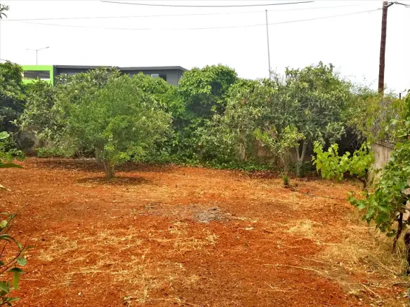 Land In Koropi, Greece