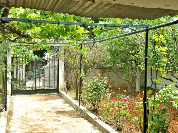 Land In Koropi, Greece