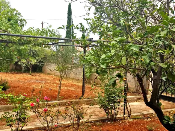 Land In Koropi, Greece