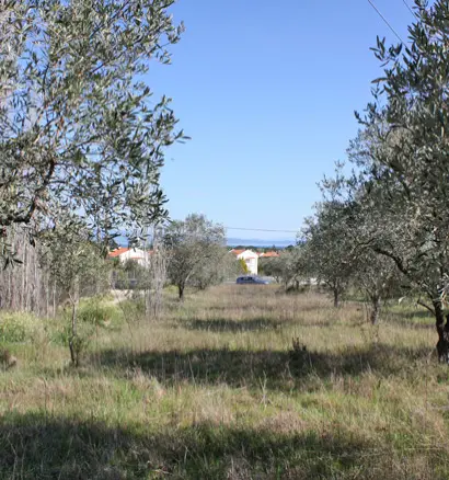 Land In Sithonia, Greece