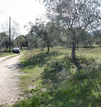 Land In Sithonia, Greece