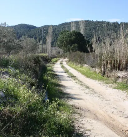 Land In Sithonia, Greece