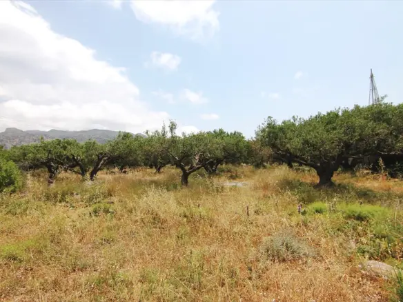 Land In Ierapetra, Greece (4.613 M²)