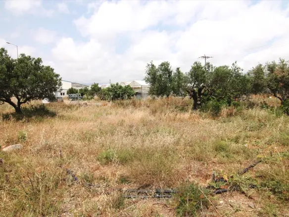 Land In Ierapetra, Greece (4.613 M²)