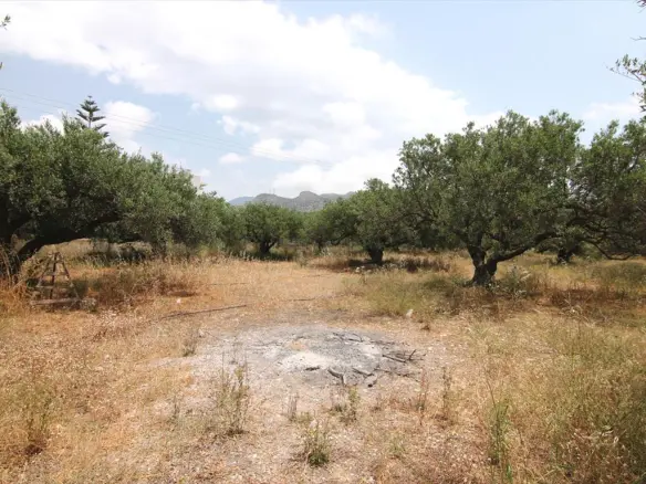 Land In Ierapetra, Greece (4.613 M²)