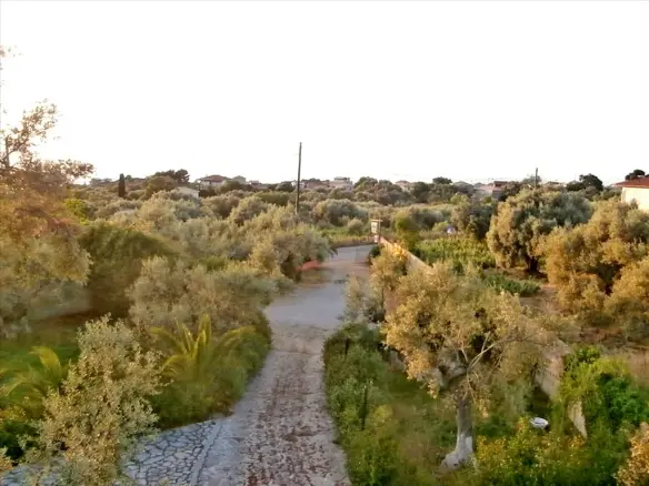 Business In Lefkada, Greece (262 M²)