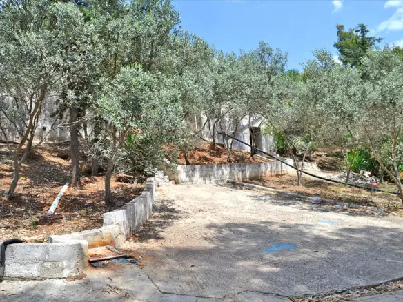 Complex In Kranidi, Greece (400 M²)