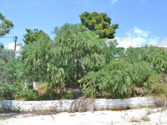 Complex In Kranidi, Greece (400 M²)