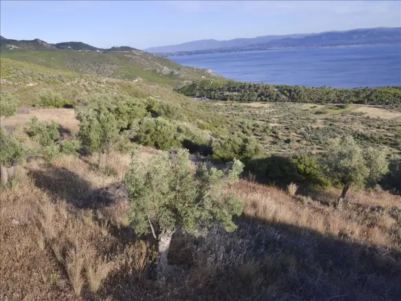 Land In Loutraki-perachora, Greece
