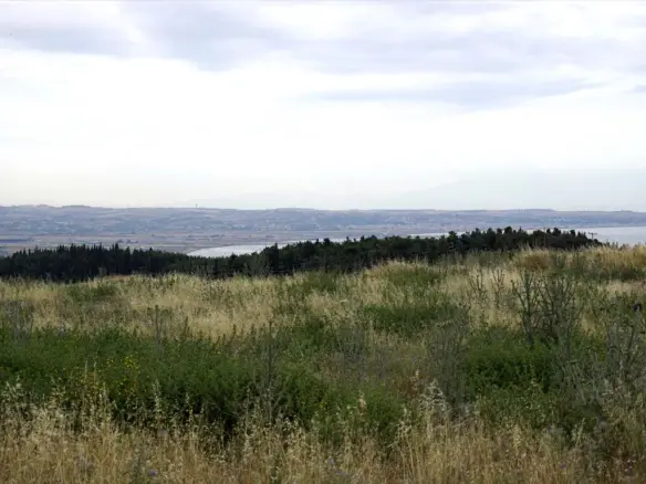 Land In Thermi, Greece