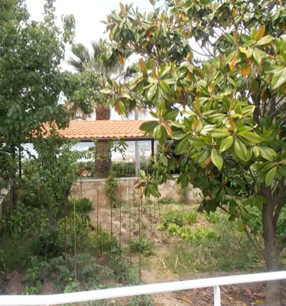 4-bedroom Maisonette In Kassandra, Greece (125 M²)