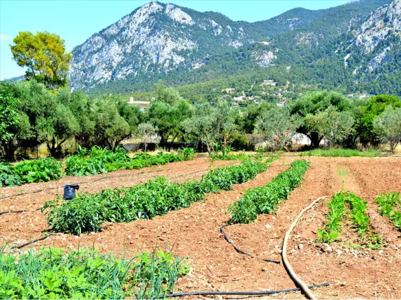 Land In Loutraki-perachora, Greece