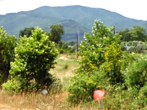 Land In Aristotle, Greece