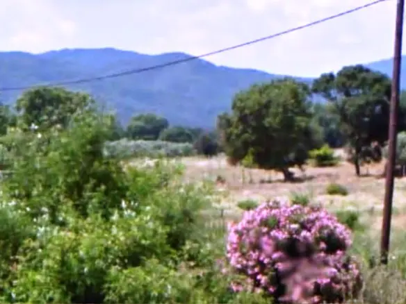 Land In Aristotle, Greece