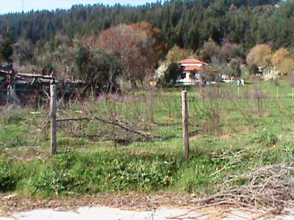 Land In Aristotle, Greece