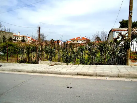 Land In Rodopoli, Greece