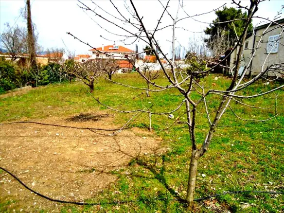 Land In Rodopoli, Greece