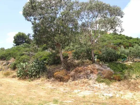 Land In Aristotle, Greece